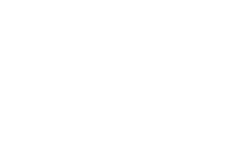 Dahl automotive group